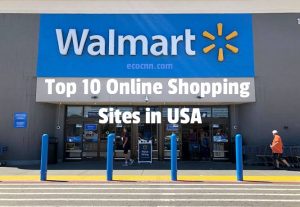 Top 10 Best Online Shopping Sites in the USA 2023