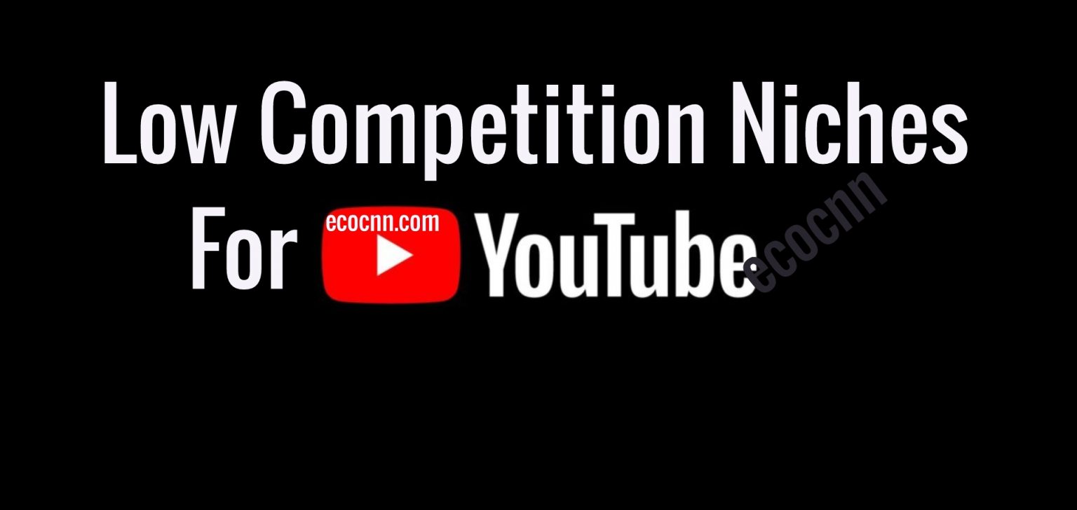 Low competition niches for YouTube 2023 ECOCNN